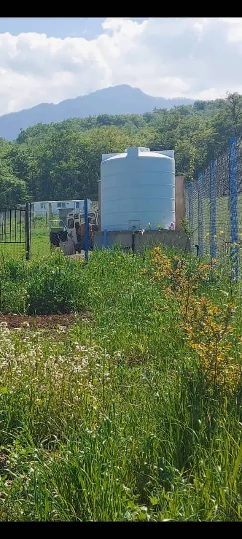 فروش زمین شصت کلا