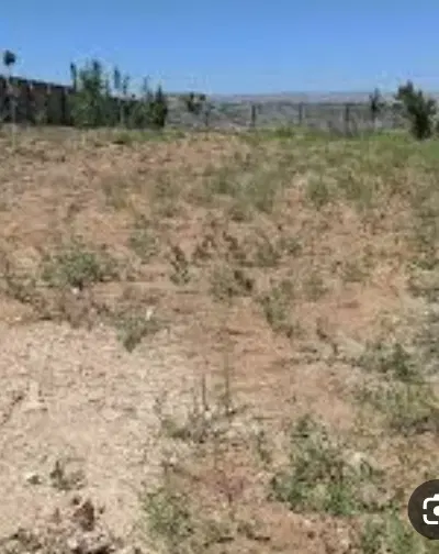 زمین باغشهری