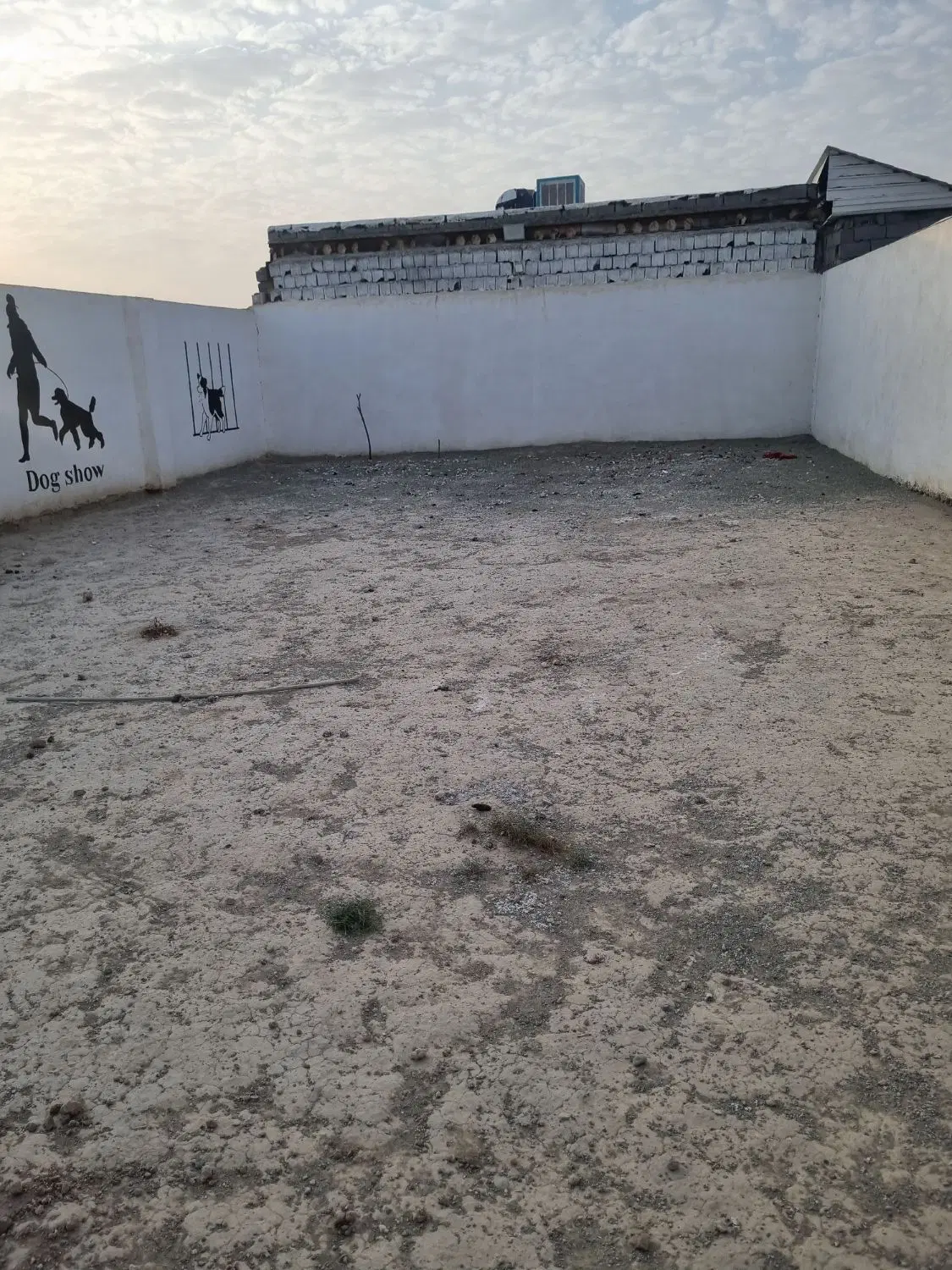 پرورش سگ فروشی