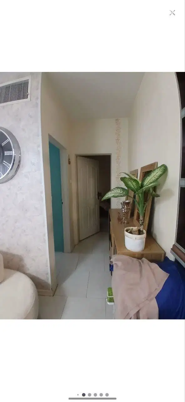 مجتمع ماموت۱