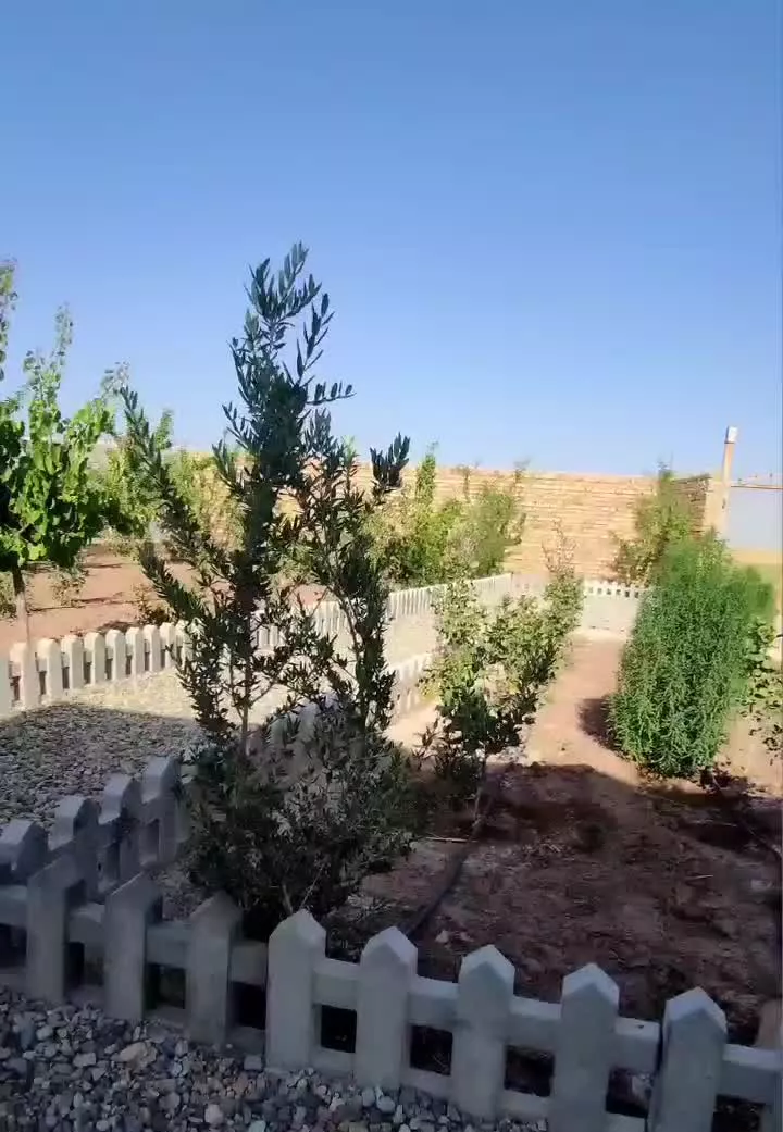 1000 متر باغچه سند تک برگ همراه با 65 متر ساخت