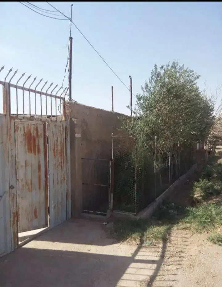 دامداری سند دار با تمام انشعابات