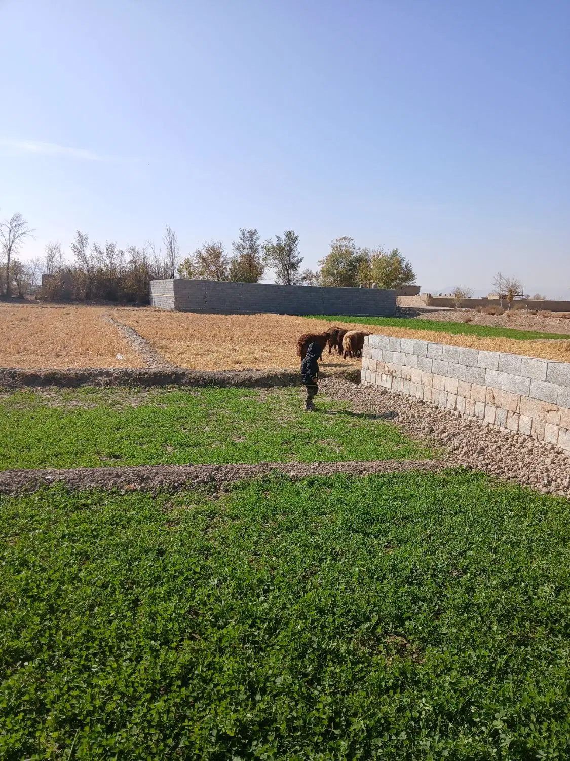 زمین جا باغ ، گاوداری و استبل موقیعت خیلی خوب