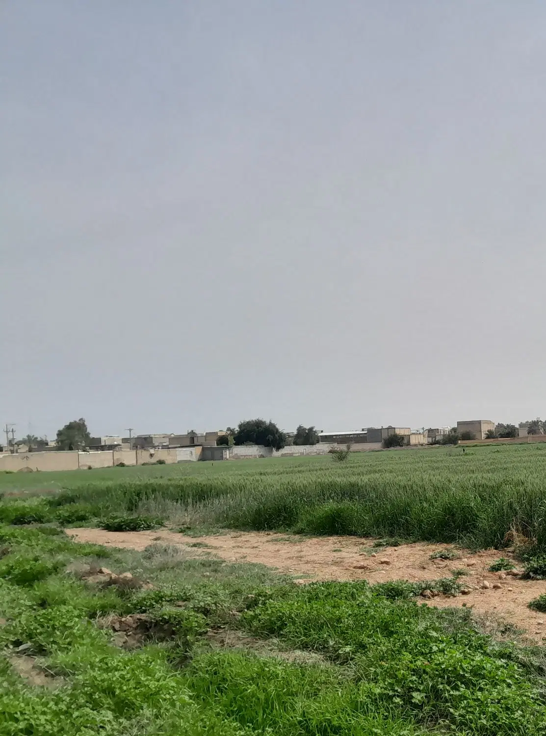 زمین ویلایی