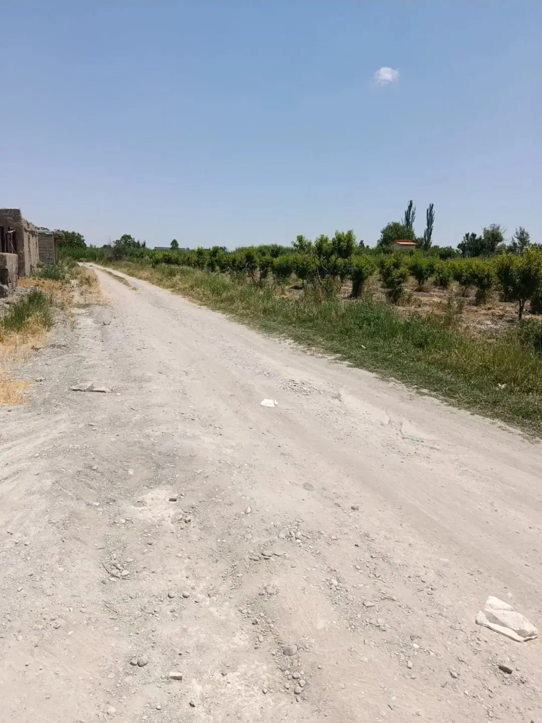 فروش قطعه  در روستای شمس حاجیان خیابان ورزش