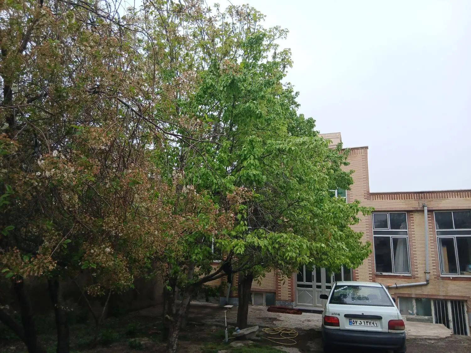 خانه ویلایی 300متر طالقانی