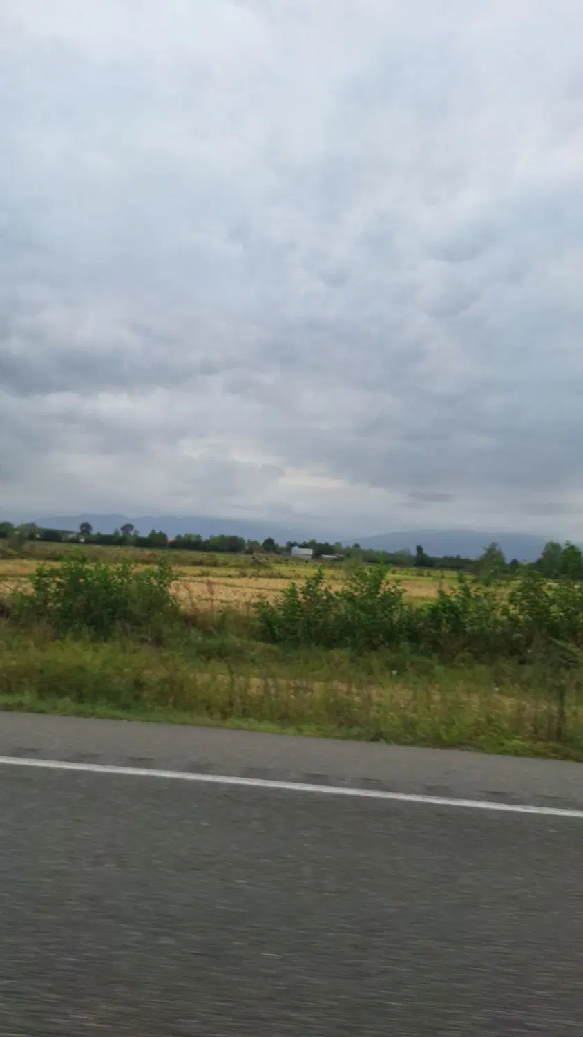 زمین کشاورزی