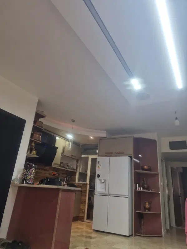 همخونه خانم