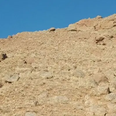 زمین مسکونی ۹۲ متر در قراملک