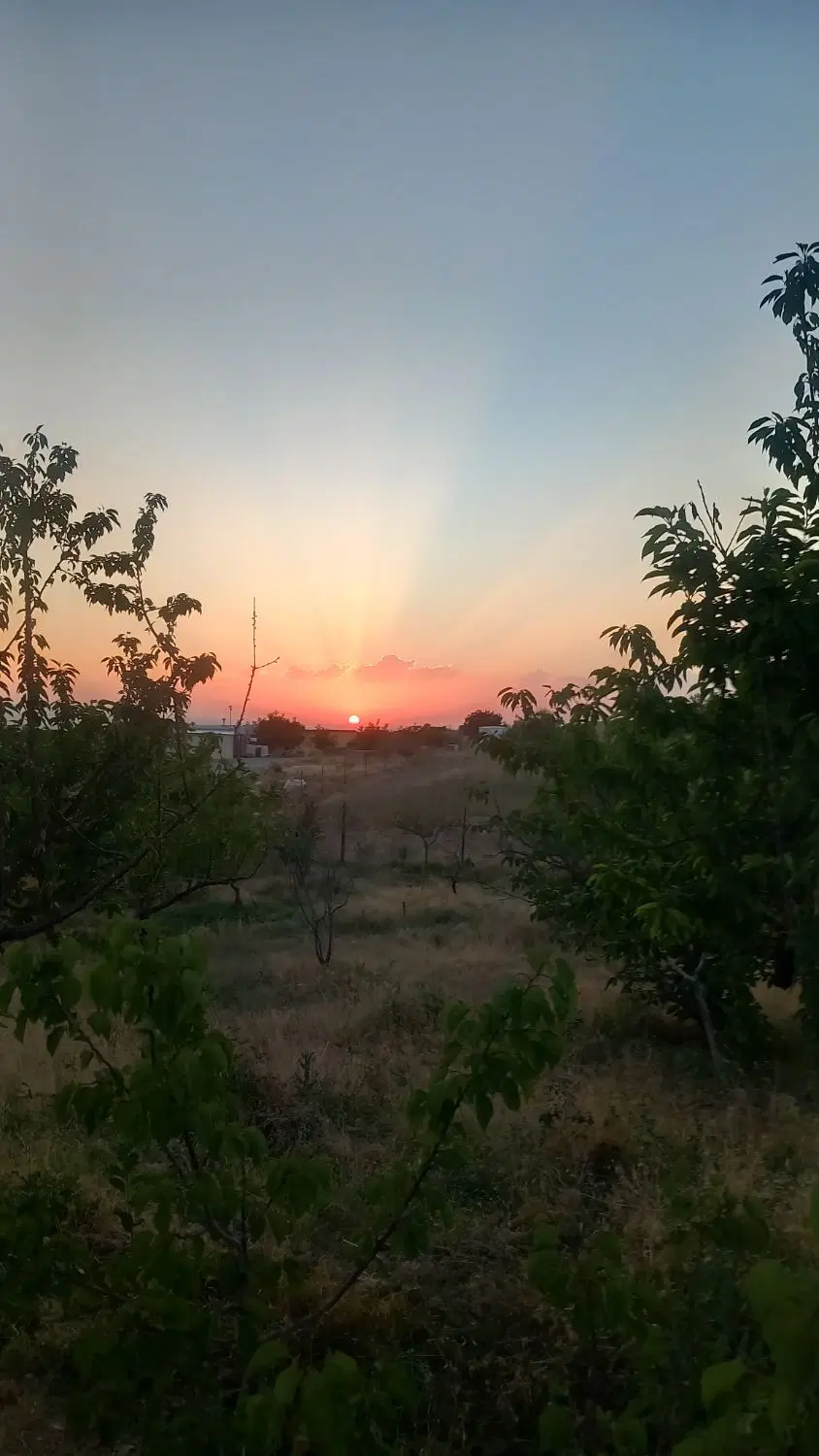 زمین باغی در محدوده روستای جارچی