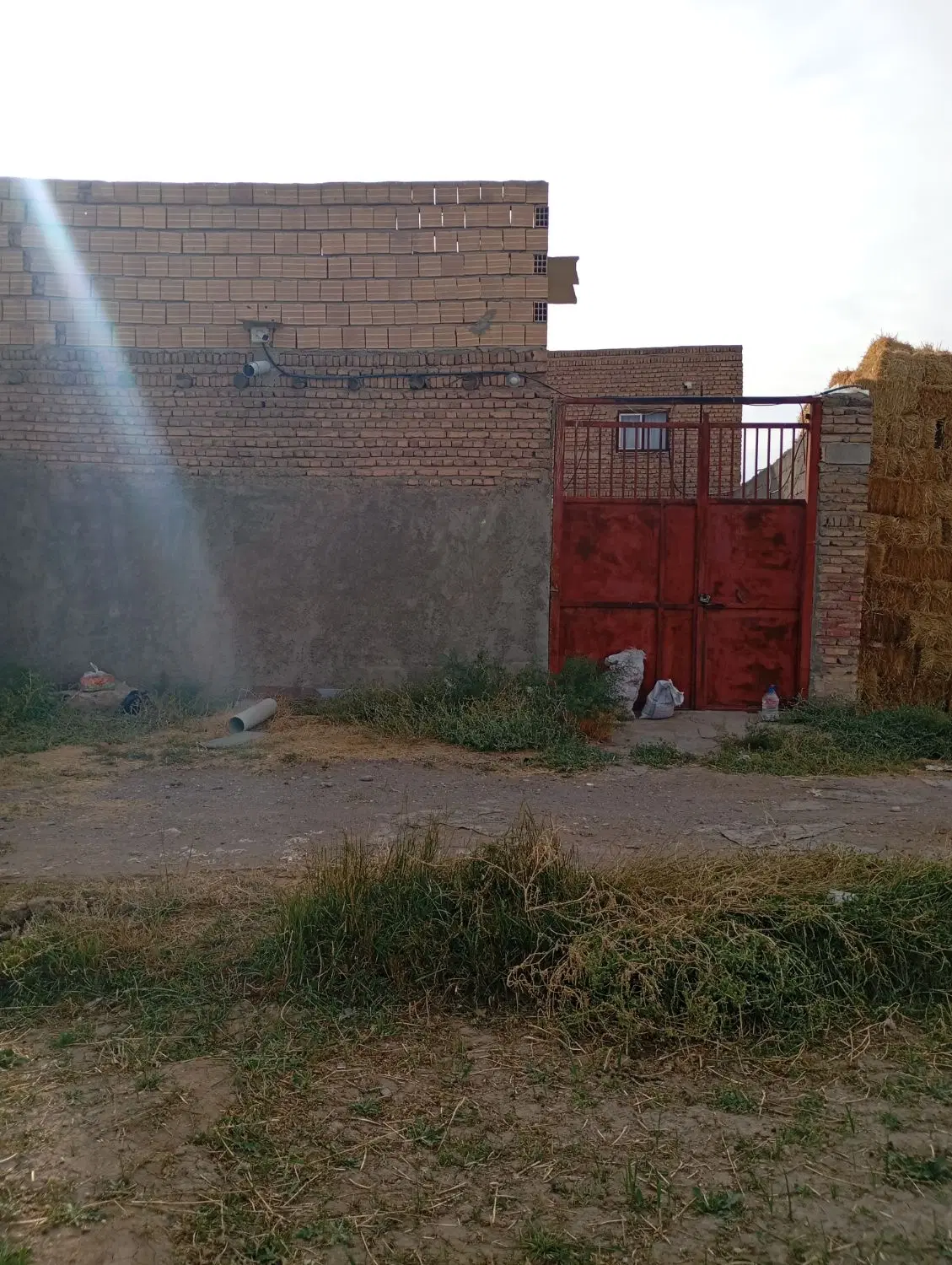 یک باب دامداری