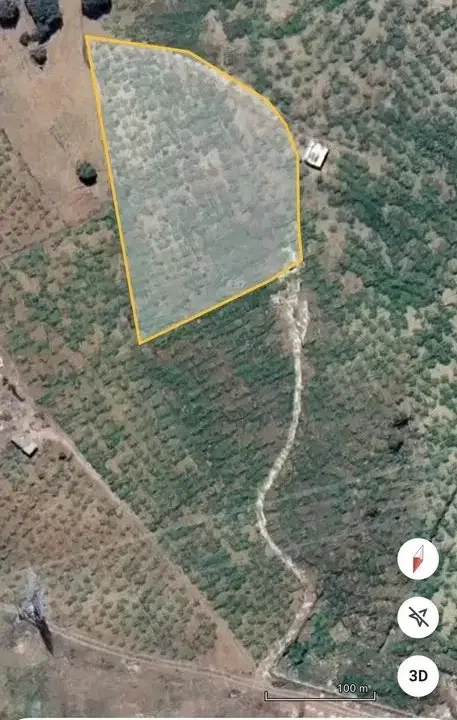 زمین کشاورزی لنج آباد
