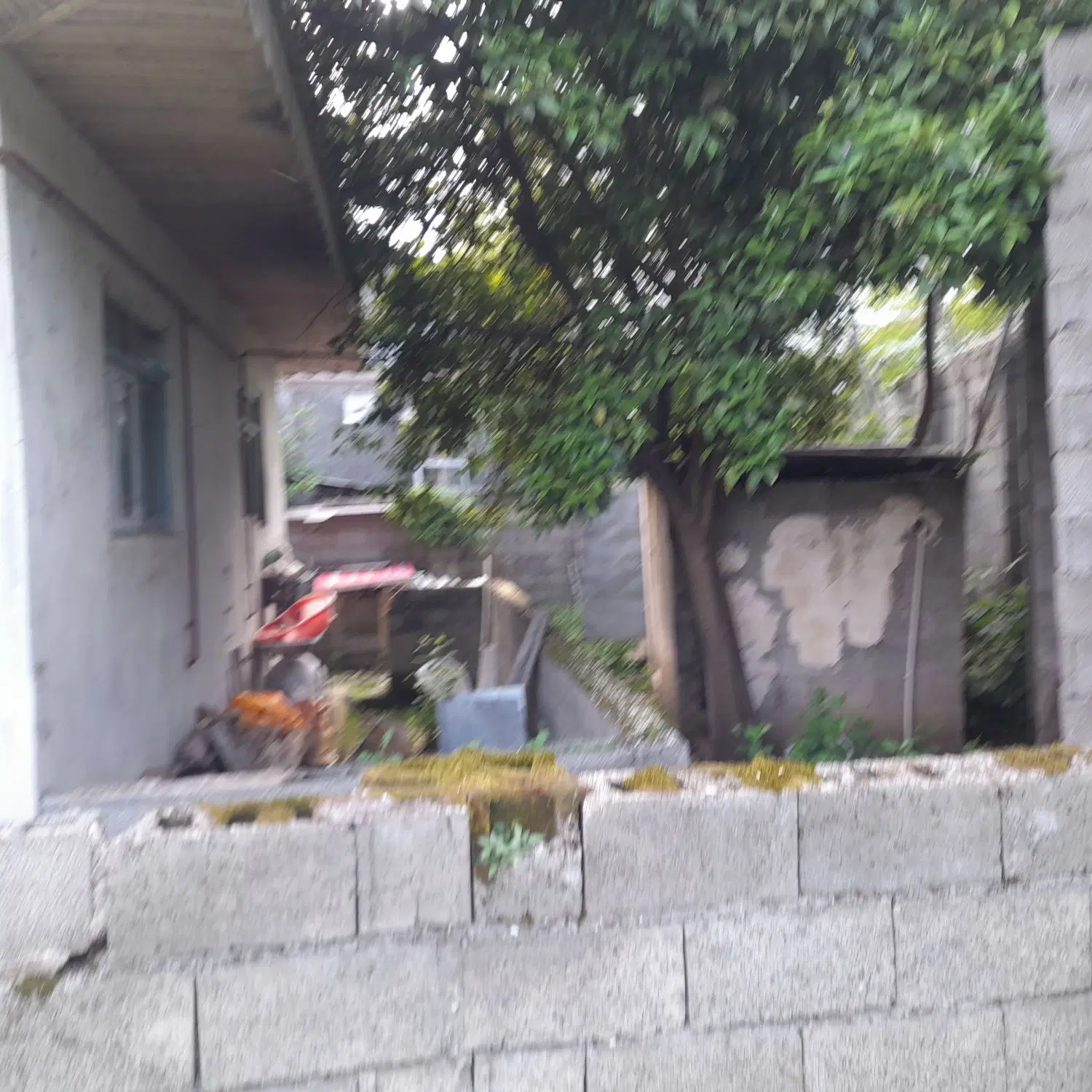 ویلا  چکو چه پشت