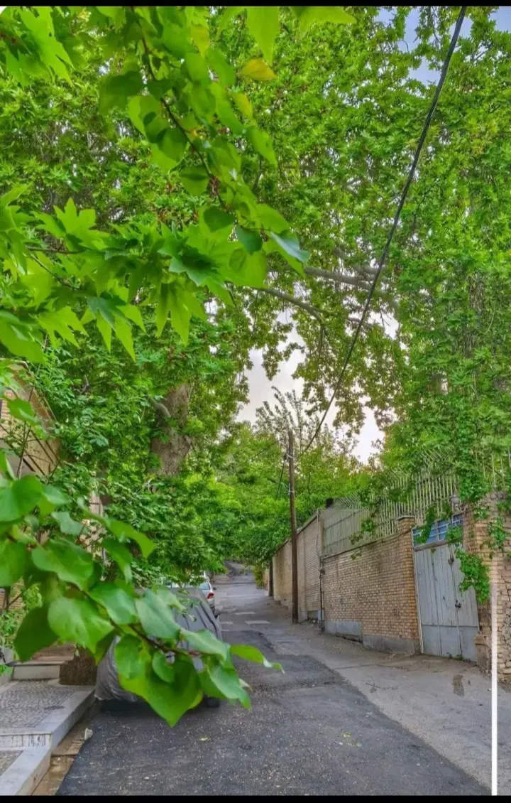 زمین مسکونی ویلایی_نیاسر_دوبر_سند6دانگ_پروانه ساخت