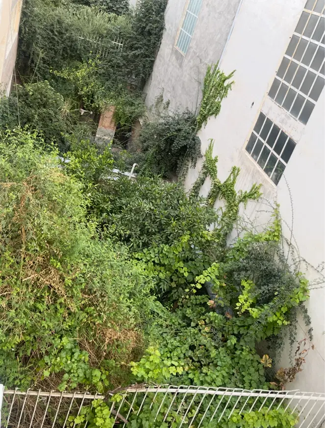 کلنگی _ خلدبرین