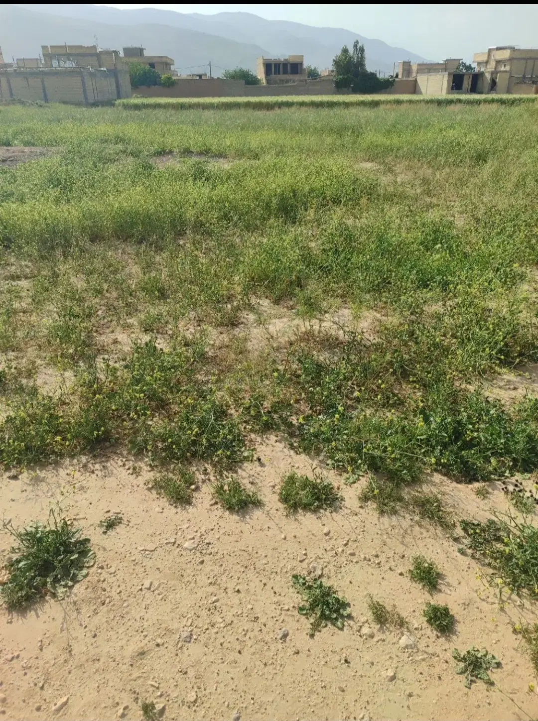 فروش زمین مسکونی روستای کفری