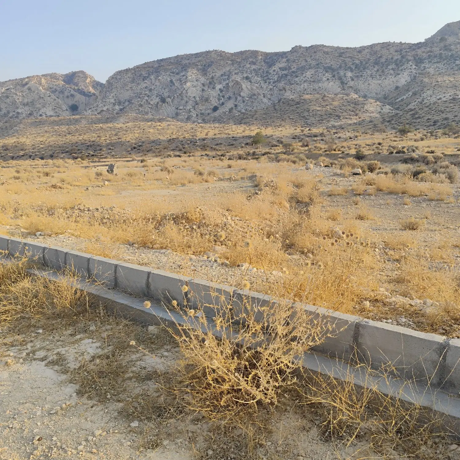 ۳۰۰ متر زمین مسکونی و تجاری در روستای پلنگی