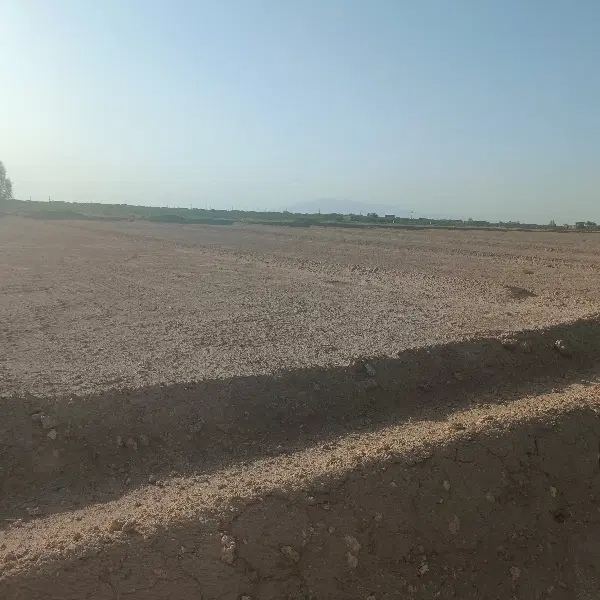 شراکت احداث باغ پسته