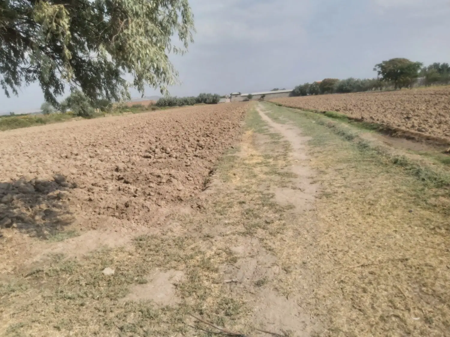 زمینی با مساحت ۱۶۴۳۰ متر با سند ششدانگ و آب کافی