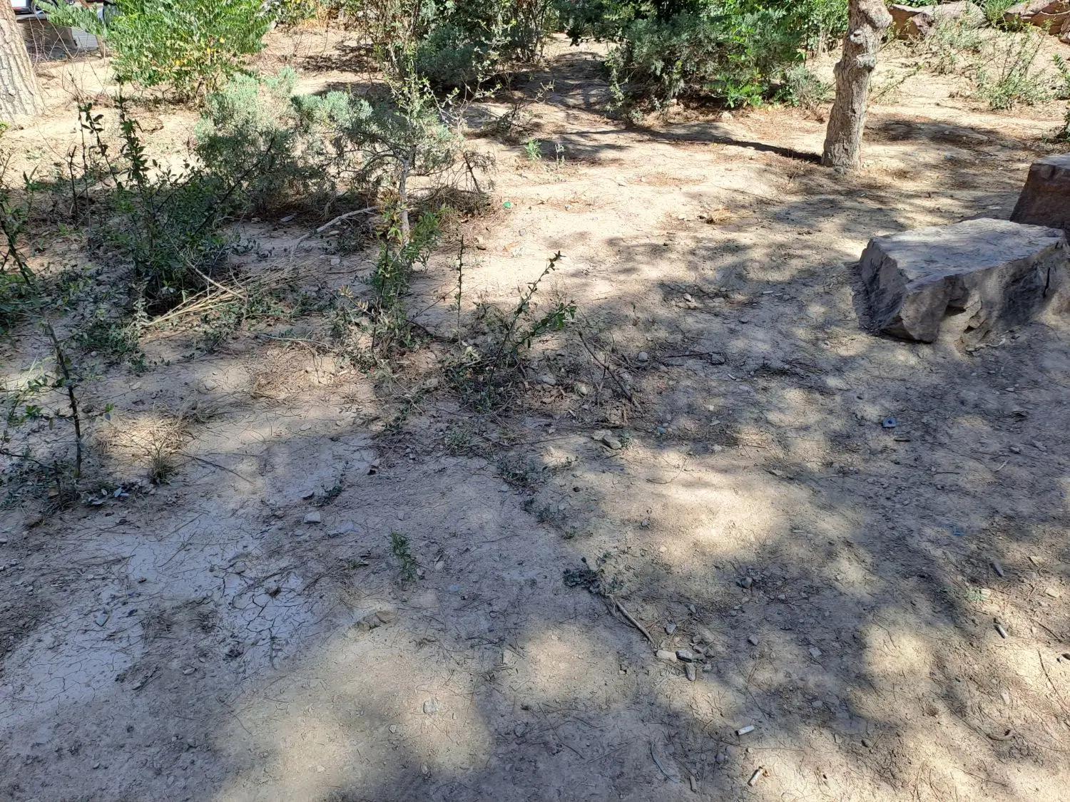 منزل مسکونی - کلنگی و البته قابل سکونت