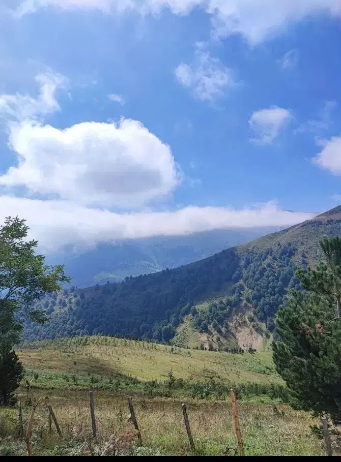 زمین آماده ساخت