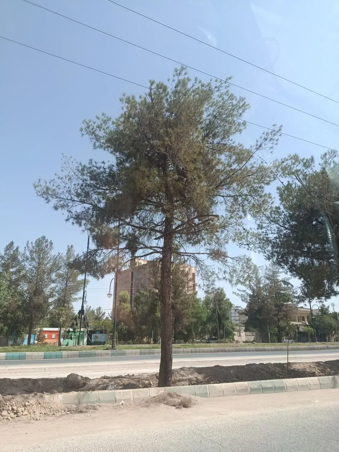 زمین جعفرآباد