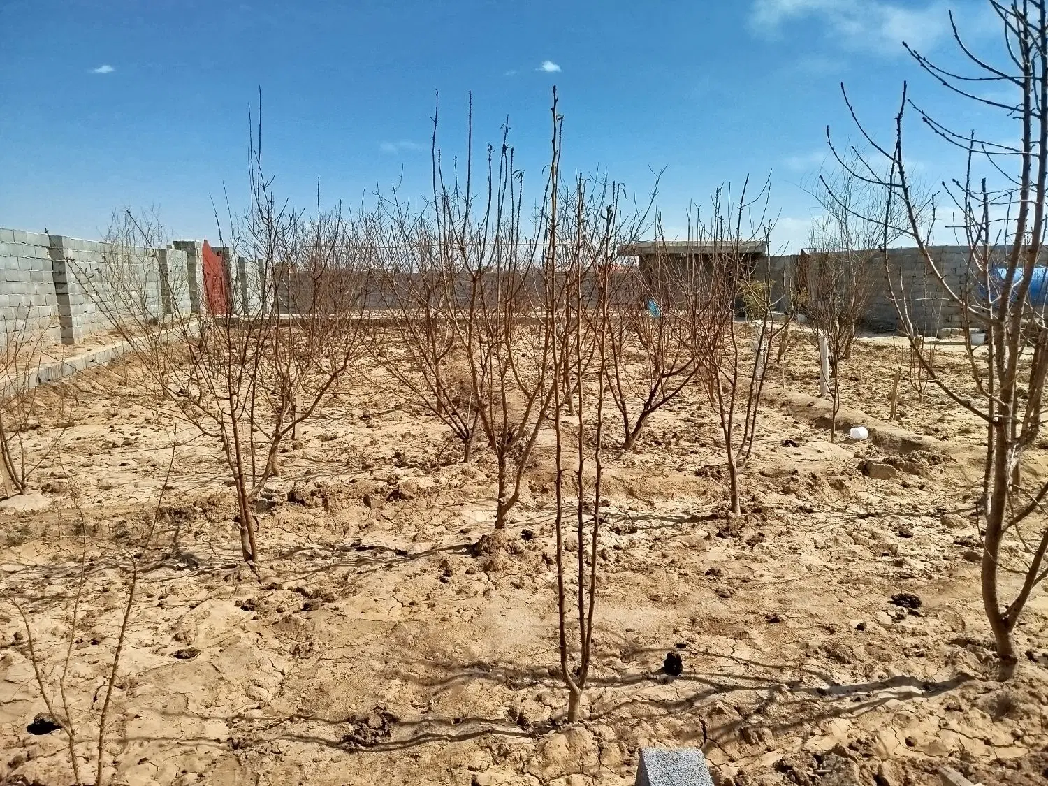 زمین مسکونی خیابان خرمشهر مهریز