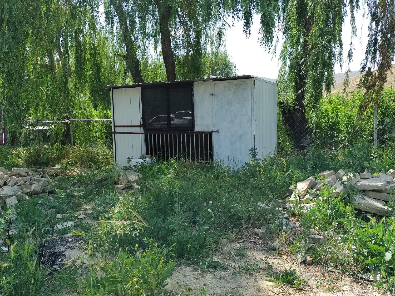 کافه باغ دربند
