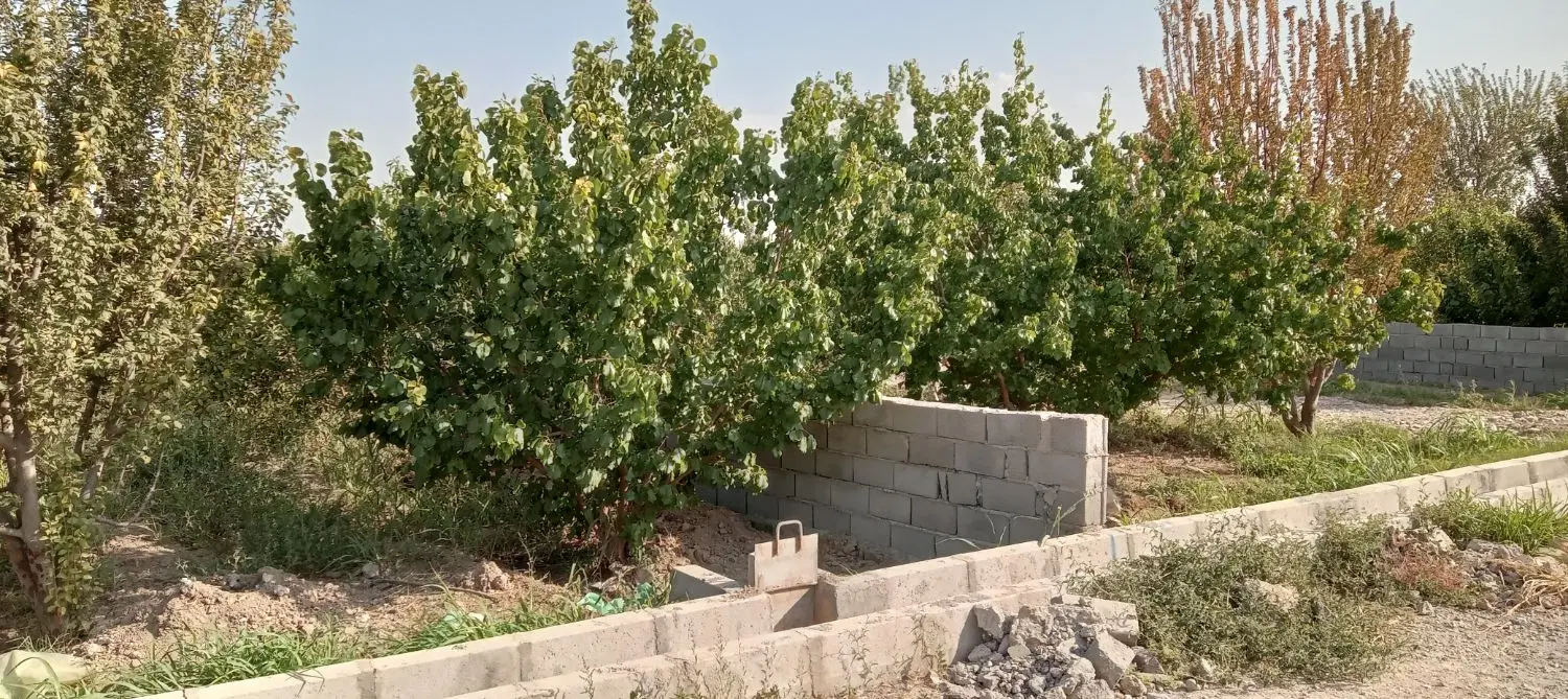 باغچه ۷۰۰ متری سنددار میدان نماز (رزکان)