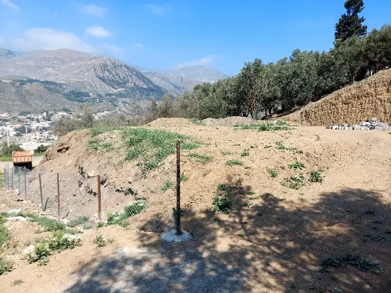 زمین 605 متر مسکونی