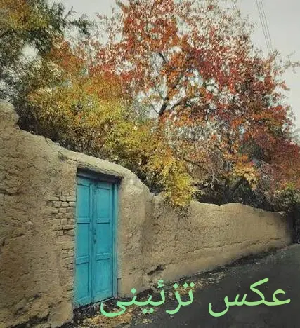 اجاره حیاط ویلایی ۳۲۰متر