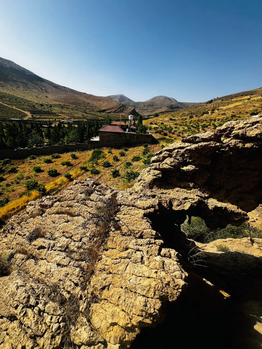 زمین باغ شهری