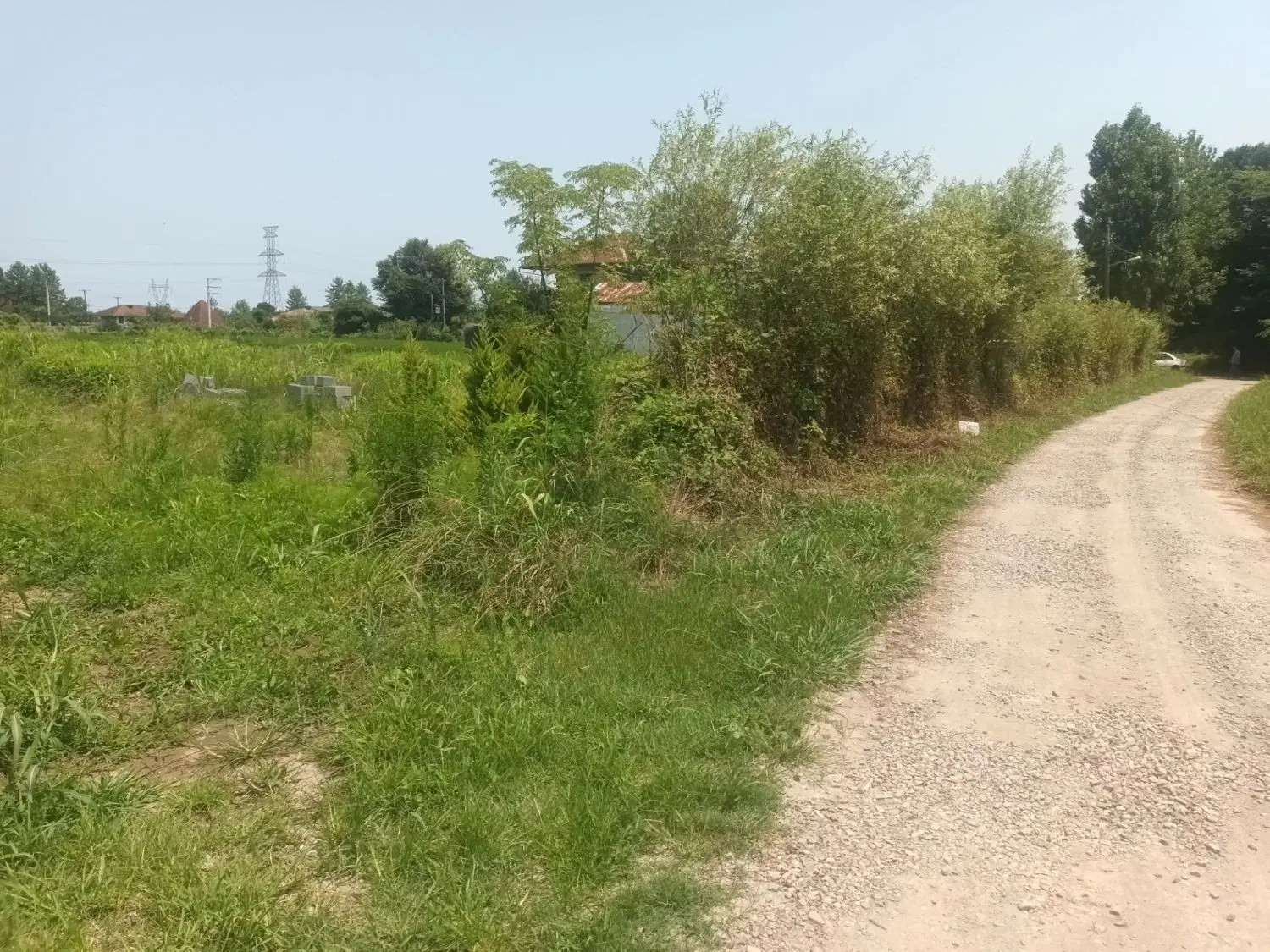 فروش زمین و باغ