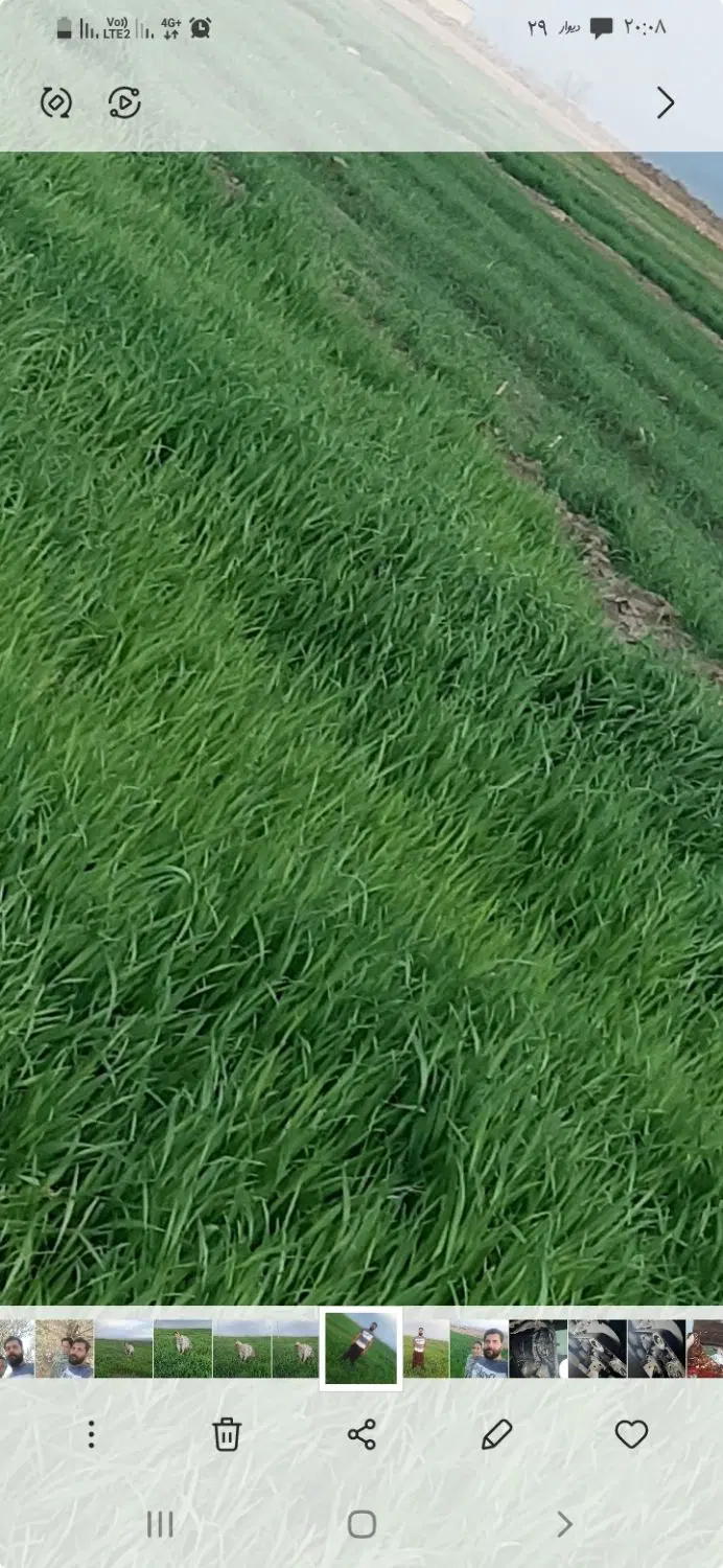 ملک کشاورزی