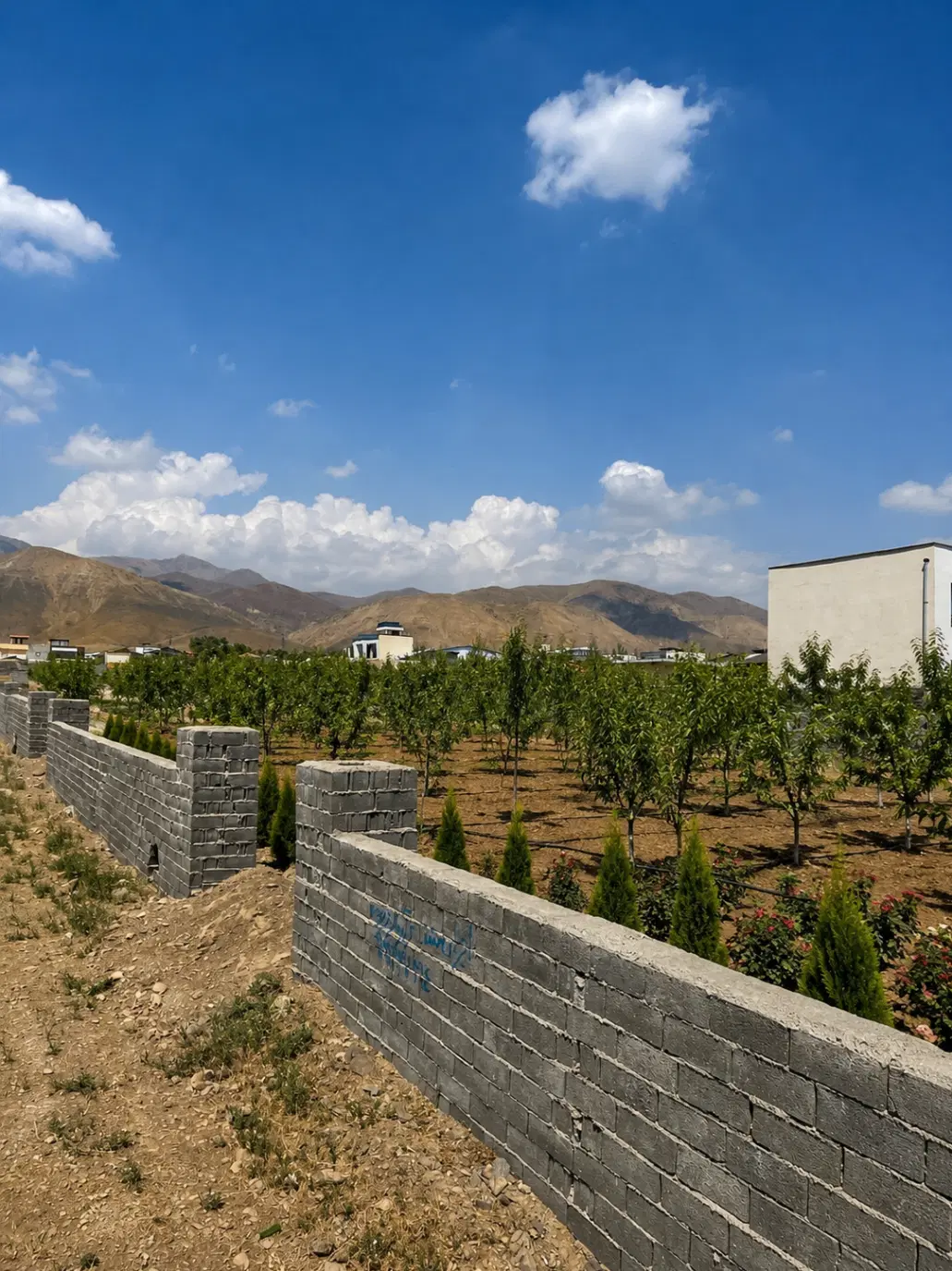 قطعه۲۳۸ متراژ خالص بدون آکس اقساطی جابان