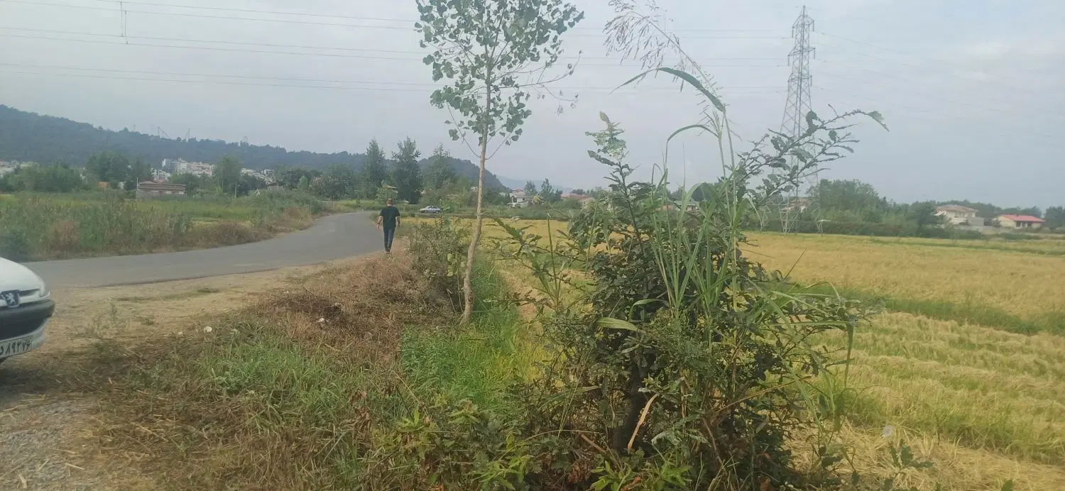 دو پلاک ۲۵۸ متری بیجاربنه