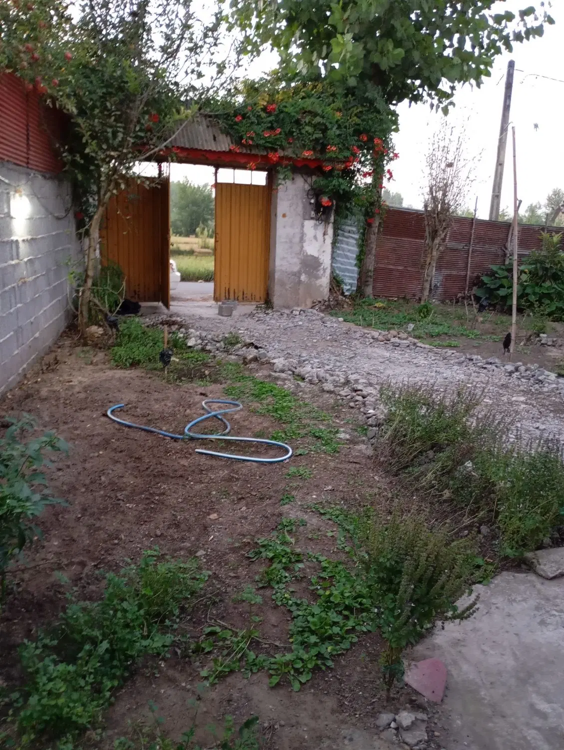 زمین و خانه ویلایی