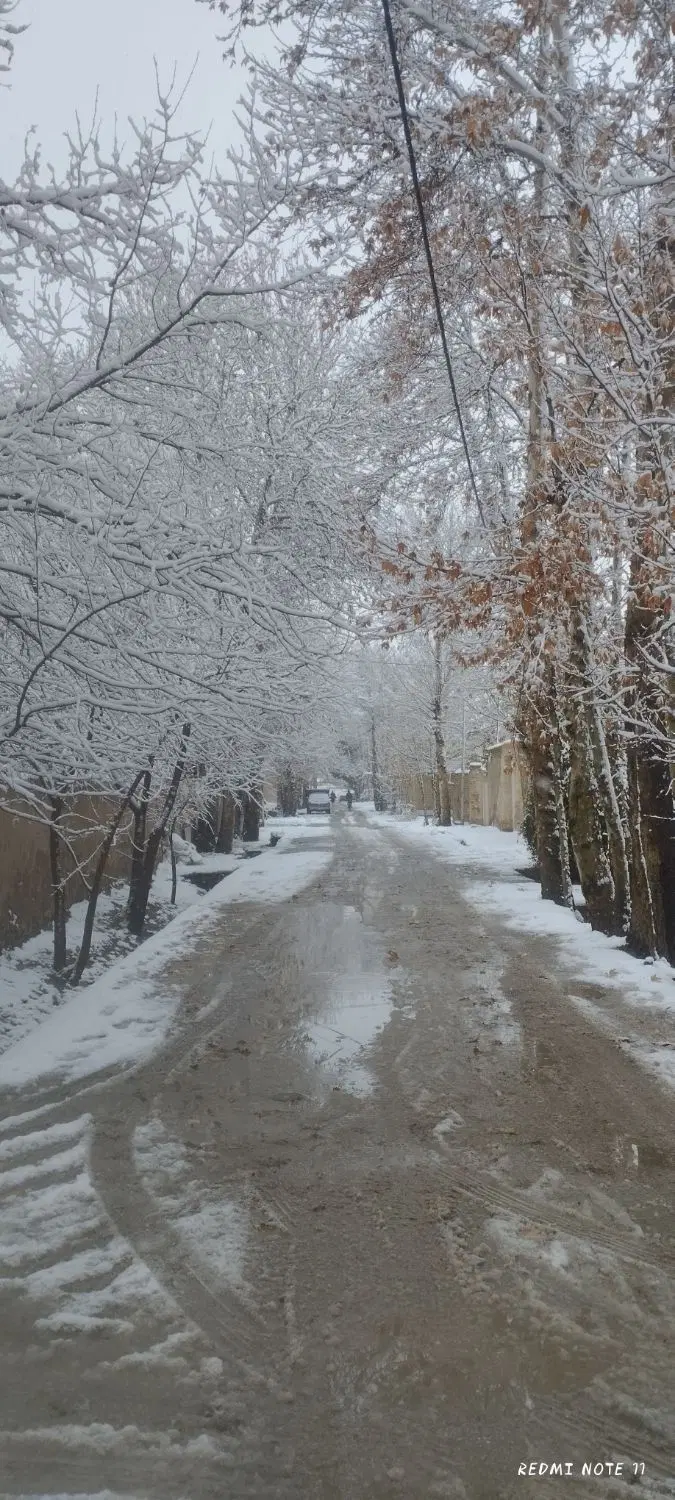 زمین
