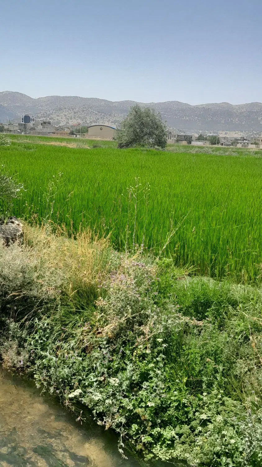 زمین مناسب سرمایه گذاری