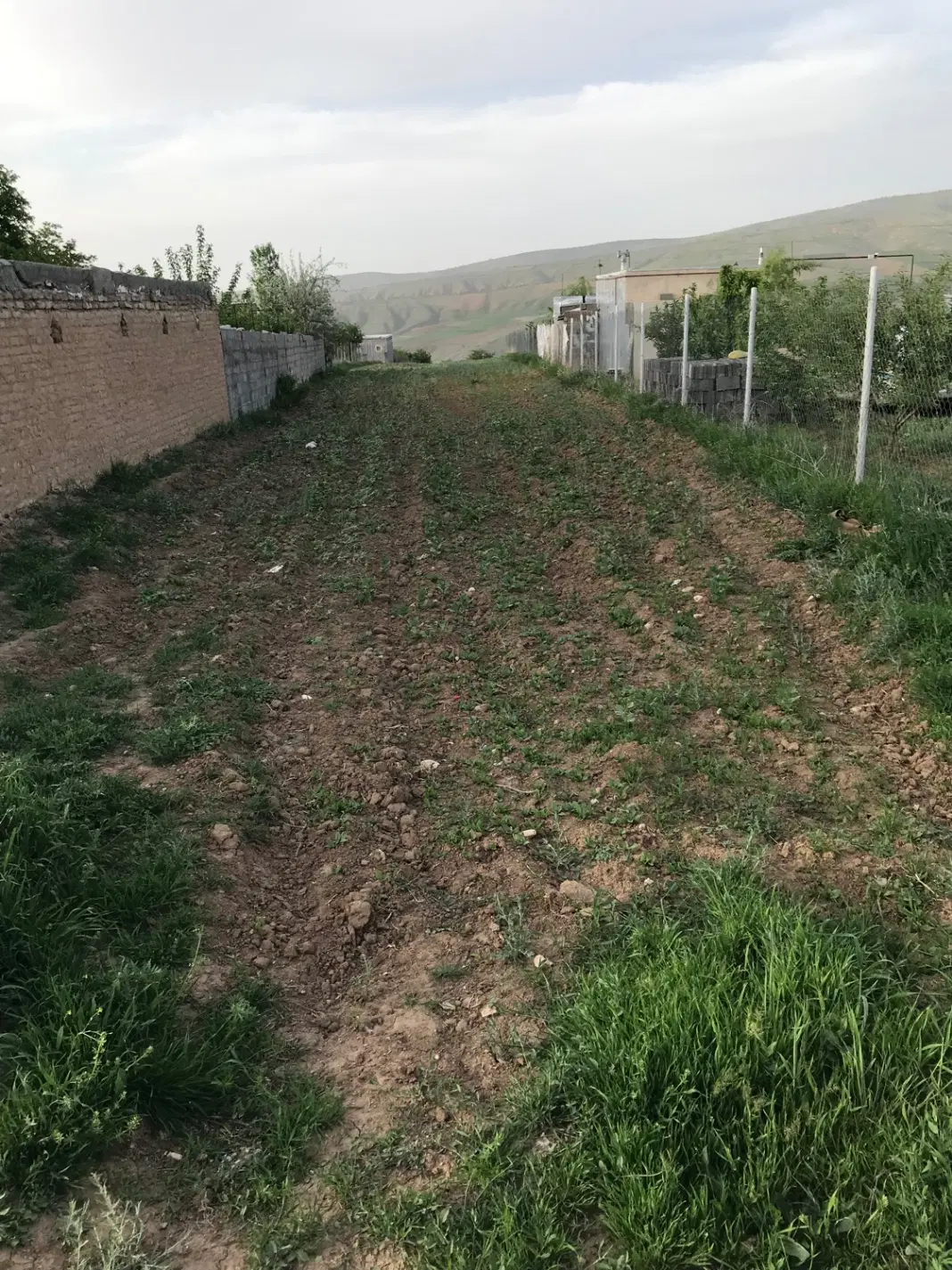 زمین جاده قدیم