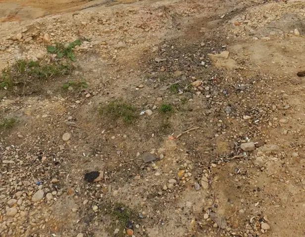 زمین کشاورزی