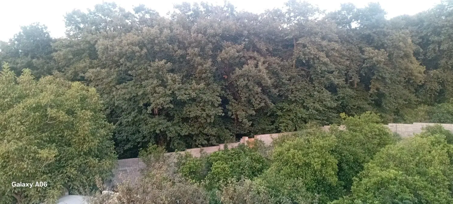 باغ