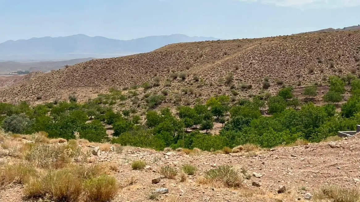 زمین مسکونی درب بهشت جیرفت