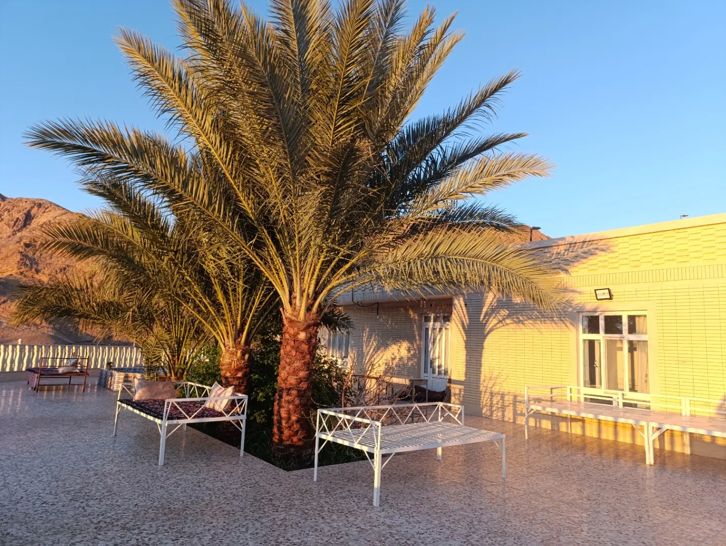 زمین