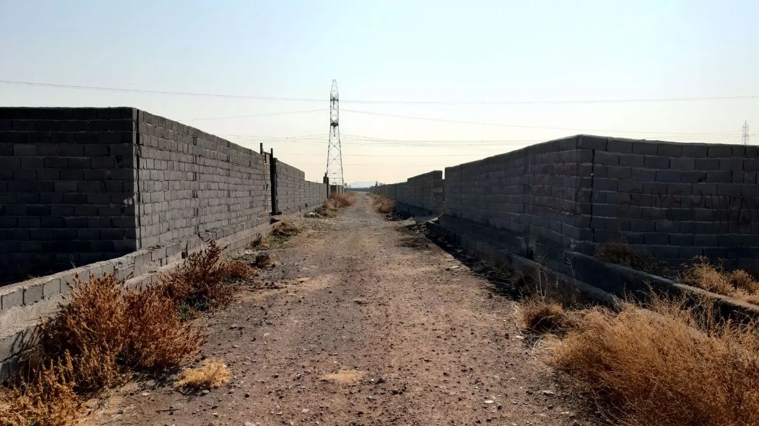 باغ
