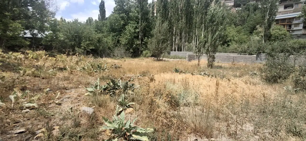 زمین روستایی