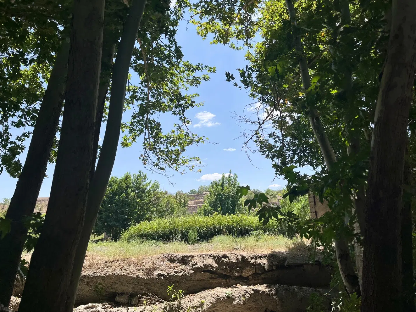 زمین ۷۵ متری توس ۴۳