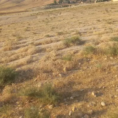 فروش زمین ساختمانی واشیان روستای چشمه شیرین