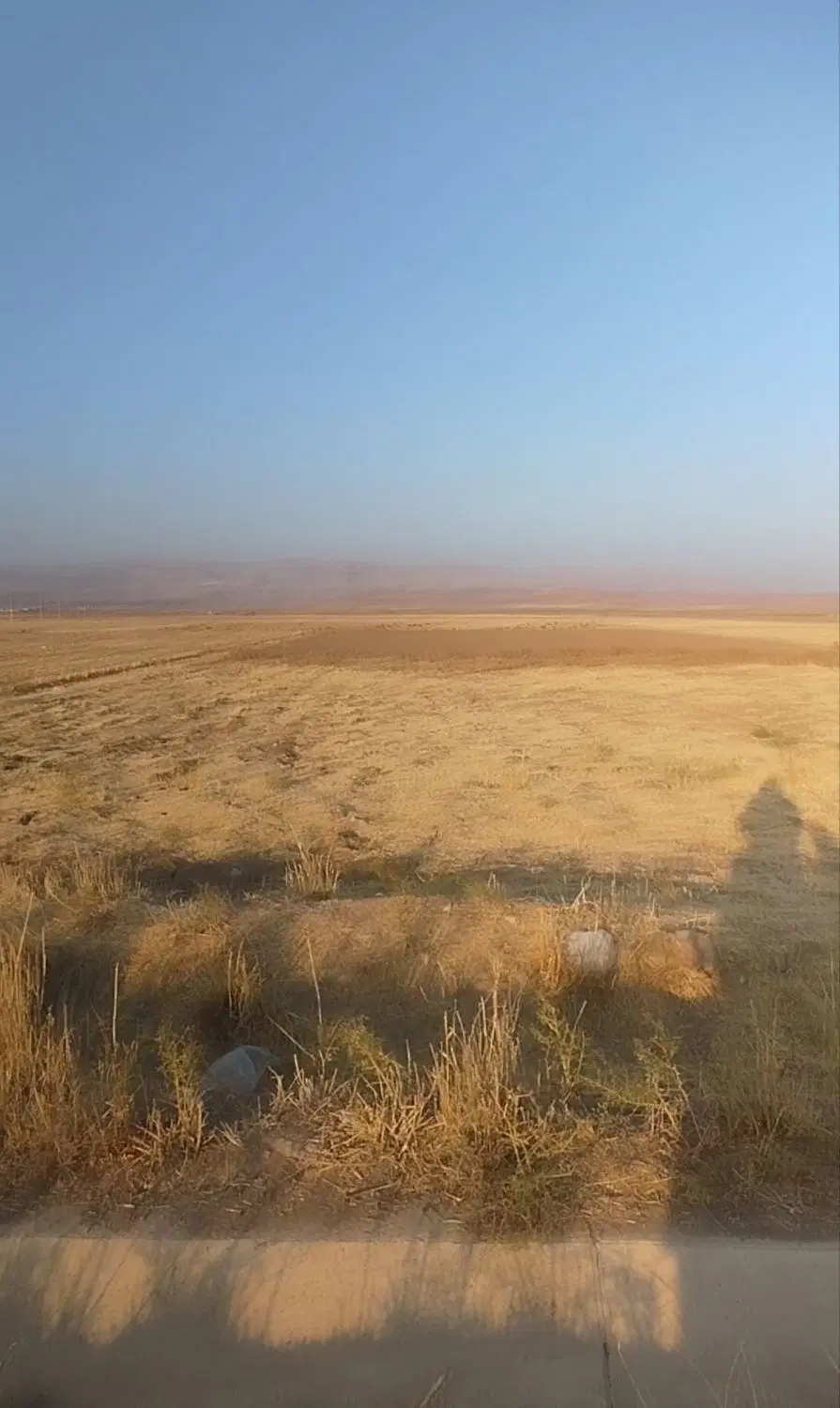 زمین