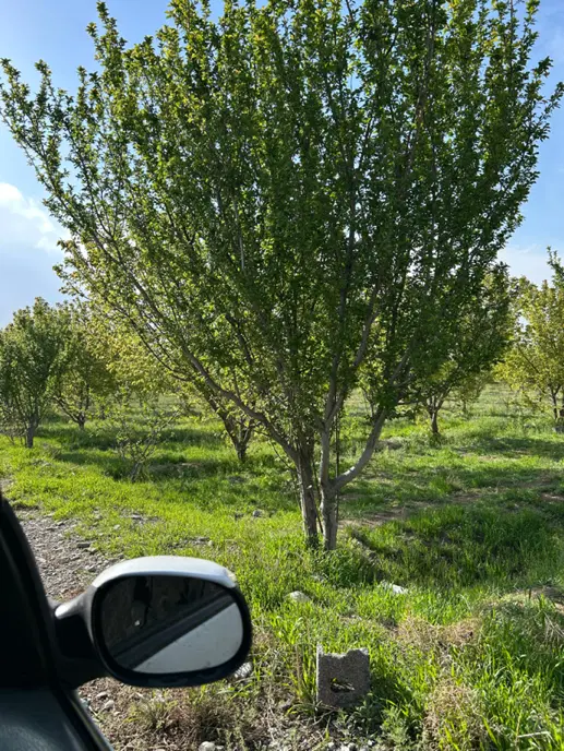 ۴۰۰متر باغچه* چهاردیواری *سند تک برگ